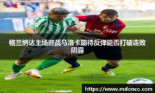 乐鱼体育