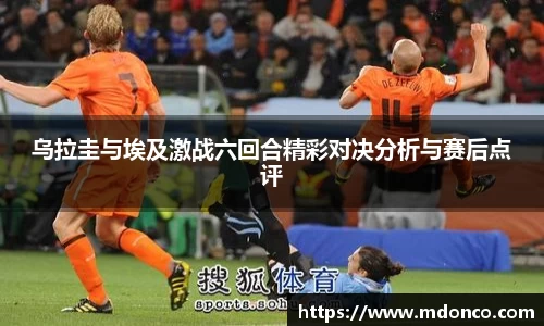 乐鱼体育官网