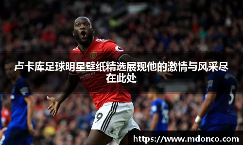 卢卡库足球明星壁纸精选展现他的激情与风采尽在此处